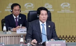 'Việt Nam đủ khả năng làm cầu nối giao thương và kết nối liên khu vực'