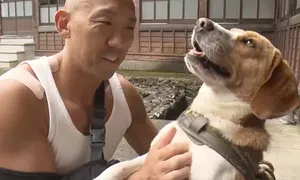 Chú chó bị bỏ rơi cứu ân nhân khỏi gấu dữ